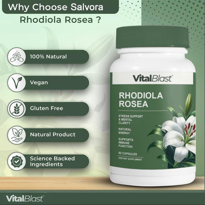 VitalBlast Rhodiola Rosea